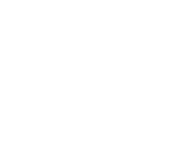 Promoplug
